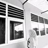 salsaaa793