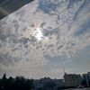 mosab.dirar