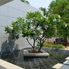 sunyi34j