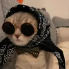 queenleila65