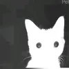 boobeychik
