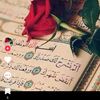 user556540557
