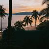 camil_0756