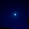 noah_11065