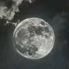 hawramii44