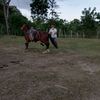 hugoperez3835970