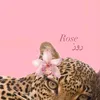 roro.roro1222