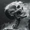 skeletonfpx