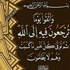 yaseenhijazi8