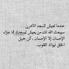 alaaahmad541