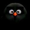 wildan_f10