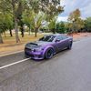 srt_stevo