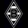 andreborussia_vfl1900