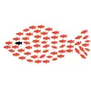 swimmy.r