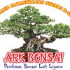 kusbaniarkbonsai