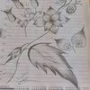 silentfeelings14