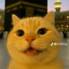 icaa3_