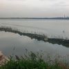 biru.laut_17
