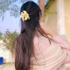 karishmaxettri25