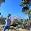 wheerol