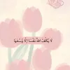 nnmmkkf
