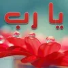 khokhamohammad151