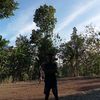 novaardianwibowo