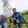 sulistianto495