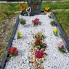 raida_4490