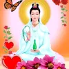 pnhh123456789