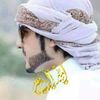 amir.almsher