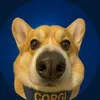 corgipatrolyt