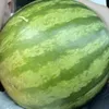 veryhemligtbarasaduvet