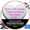 Mohamed Amiin