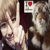 yelka.thv
