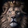 aymanmohamed043