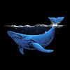 bluewhalebookclub