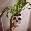 lasenoradelasplantas23