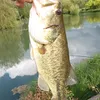 peche.chasse