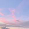 bea_nogueiraa_