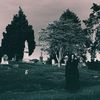 thatcemeterylife