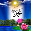 zameerahmed7788