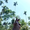 NuSu-010