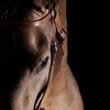 hamad_723