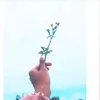 deviramadani_97