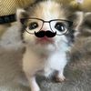 emggajelasy