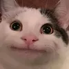 nguoivietgocmit_8386