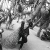 fatmaprawira