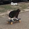 bunnyace1