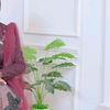 ilovecinta4